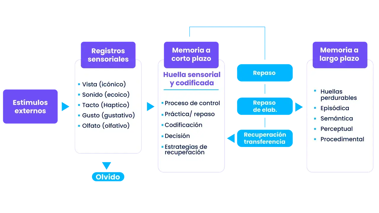 gráfica 2 (1)