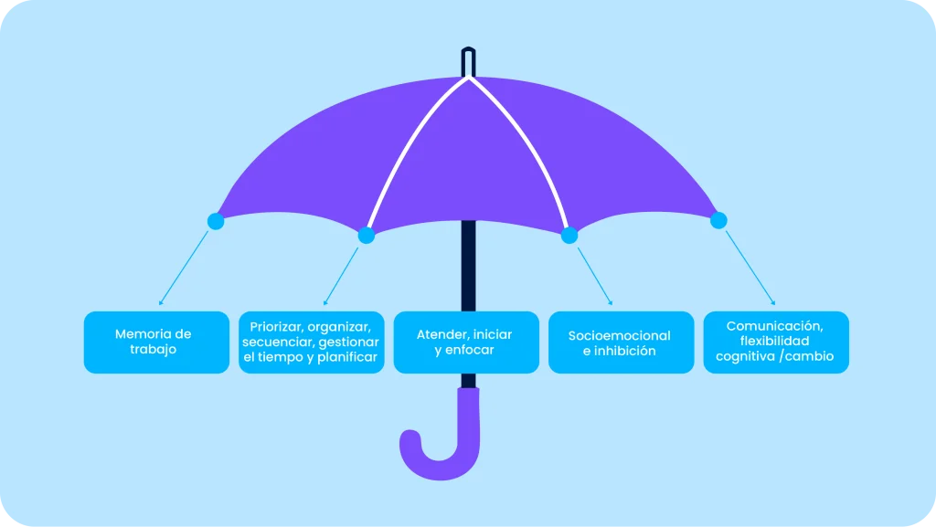 Diagrama cerebral que muestra c&oacute;mo las funciones ejecutivas regulan pensamientos, acciones y procesamiento sensorial