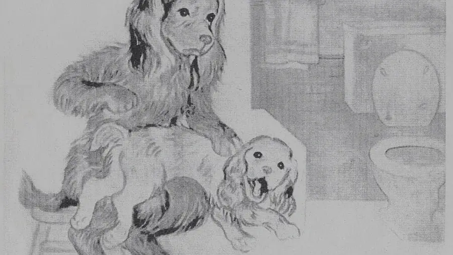 L&aacute;mina 10 Descripci&oacute;n: Un perro grande con un cachorro sobre las piernas en un ba&ntilde;o.